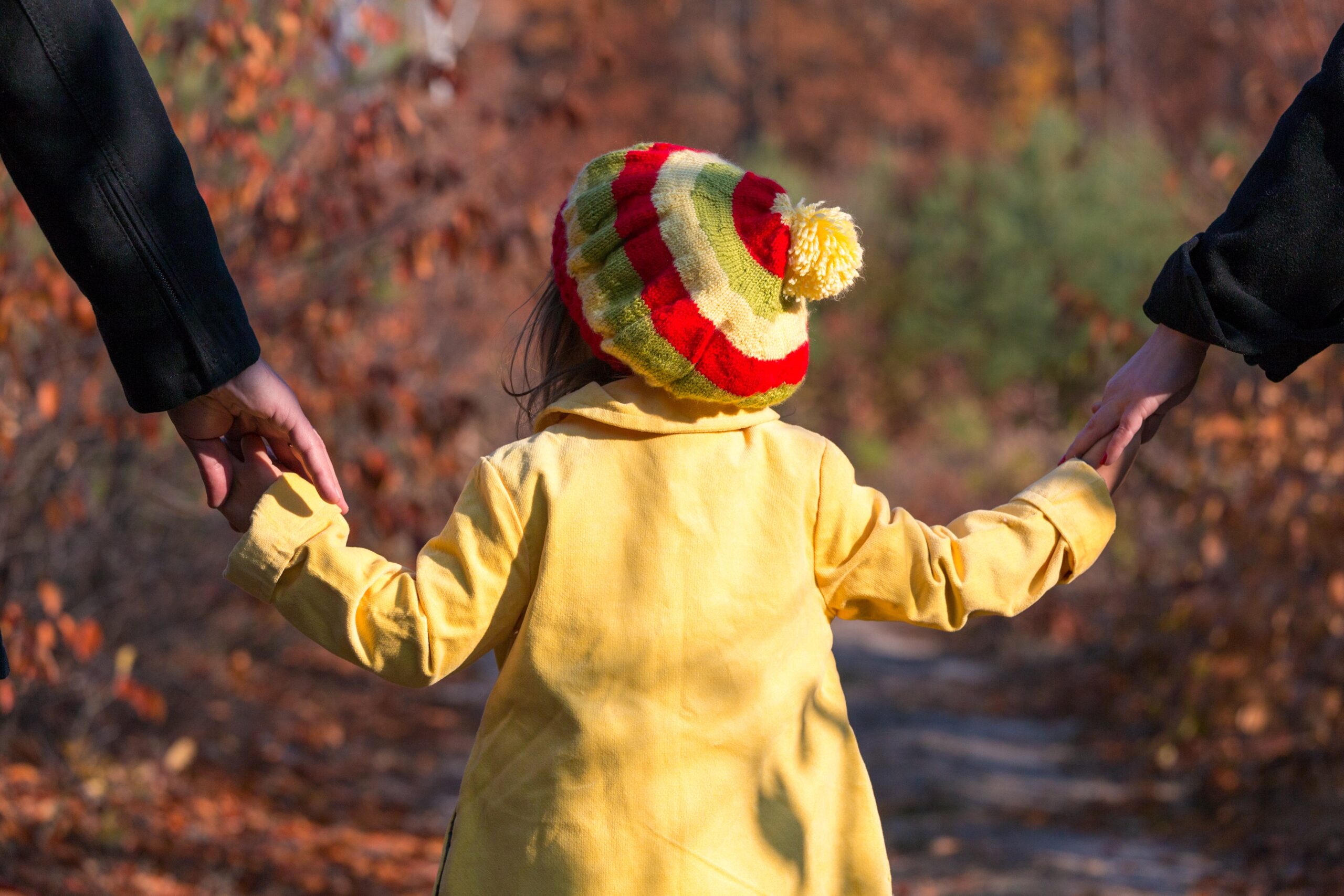 child custody lawyer in Ogden, UT
