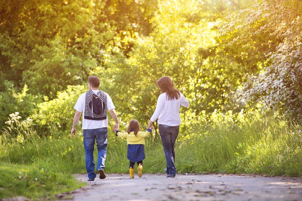 Child support lawyer Roy, UT